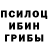 Псилоцибиновые грибы мицелий cristobal Arciniega